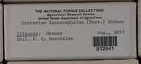 Image Associated With the Occurence